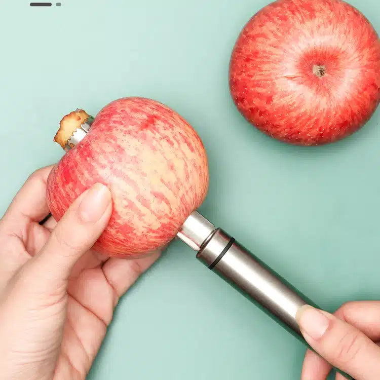 Fruit Core Remover (stainless steel)
