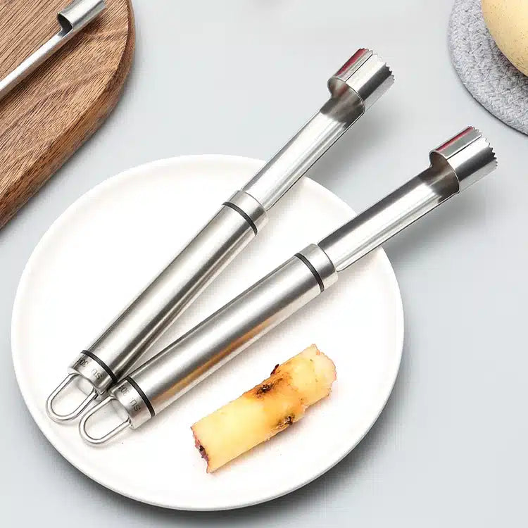 Fruit Core Remover (stainless steel)